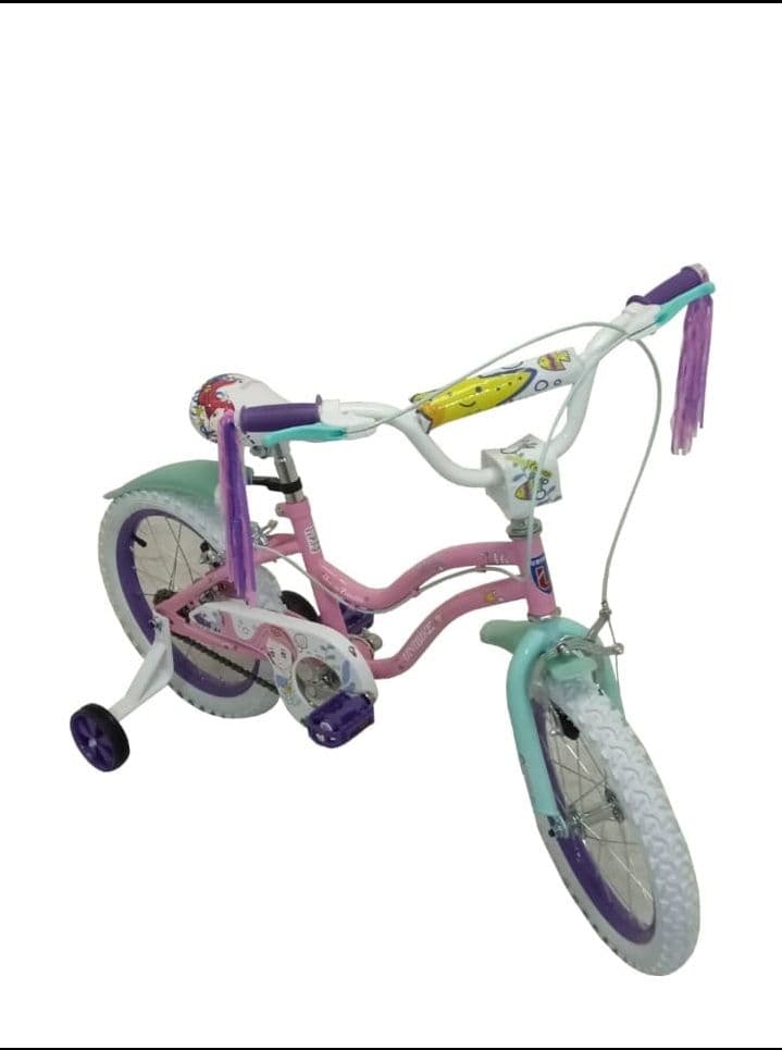 BICICLETA UNIBIKE R-16 D, imagen 6